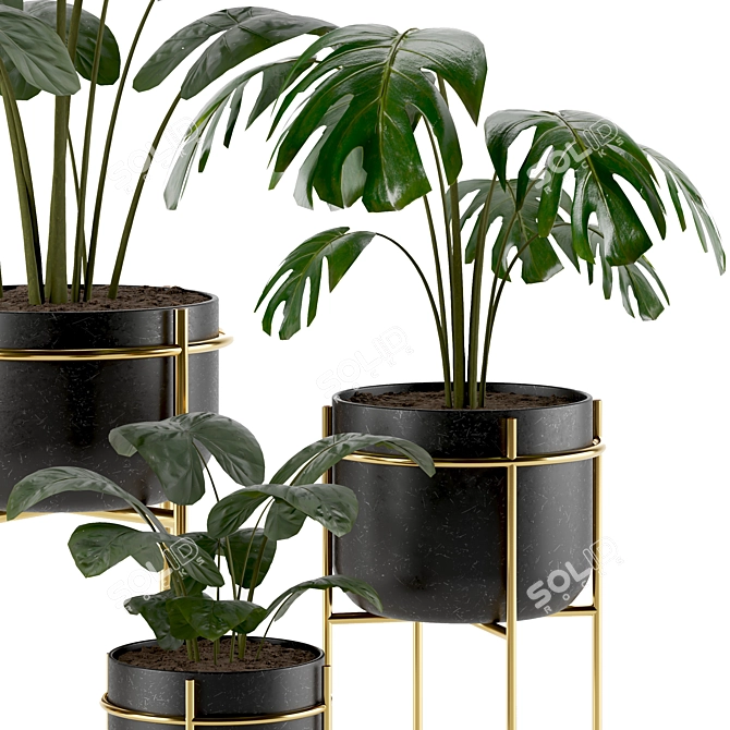 Indoor Houseplants Set: Natural Greenery for Your Home 3D model image 3