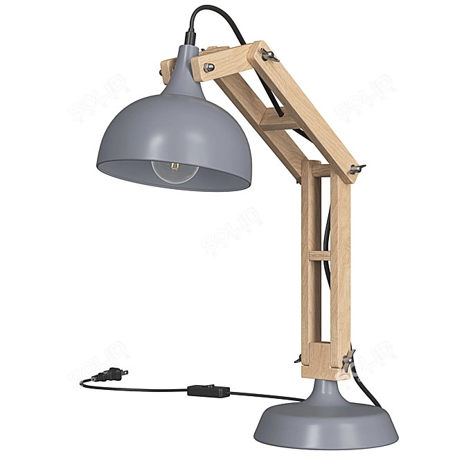Salado Desk Lamp 3D model image 3