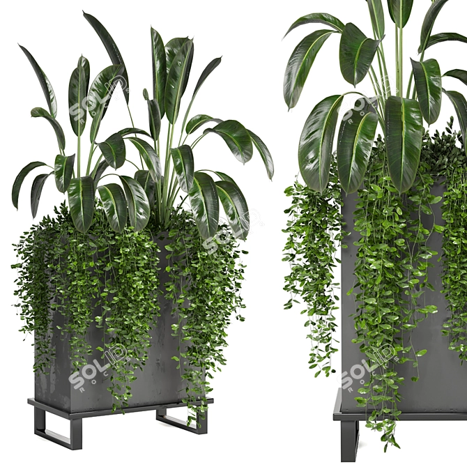 Indoor Plants Collection - Set 193: 3D Max, V-Ray/Corona Render 3D model image 1