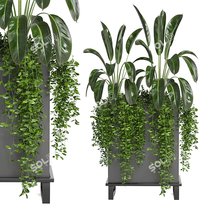 Indoor Plants Collection - Set 193: 3D Max, V-Ray/Corona Render 3D model image 2