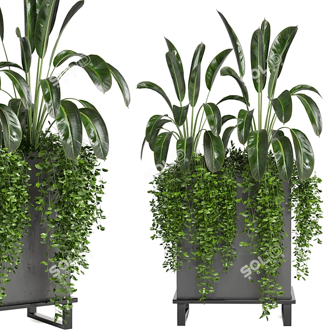 Indoor Plants Collection - Set 193: 3D Max, V-Ray/Corona Render 3D model image 3