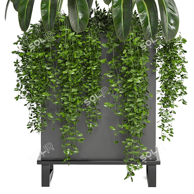 Indoor Plants Collection - Set 193: 3D Max, V-Ray/Corona Render 3D model image 5