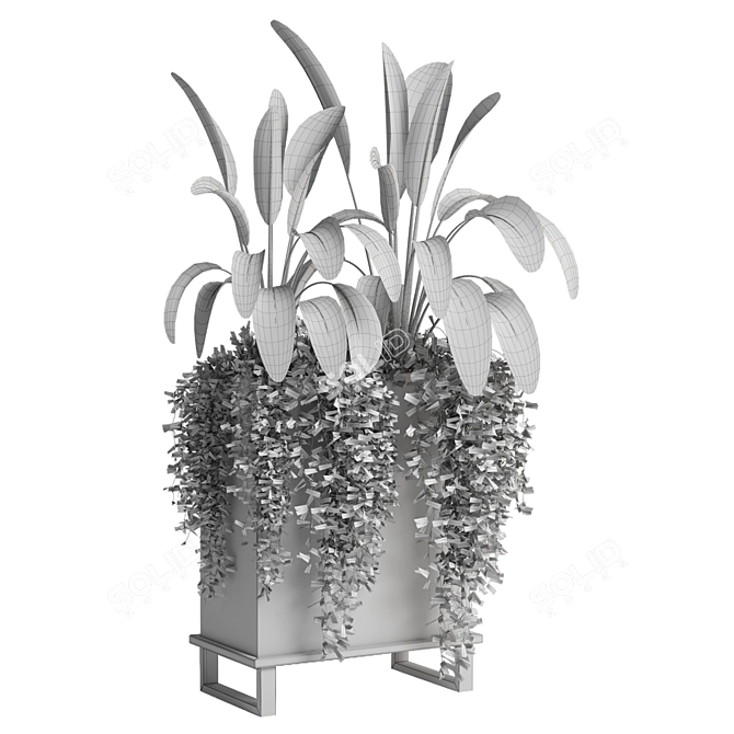 Indoor Plants Collection - Set 193: 3D Max, V-Ray/Corona Render 3D model image 6