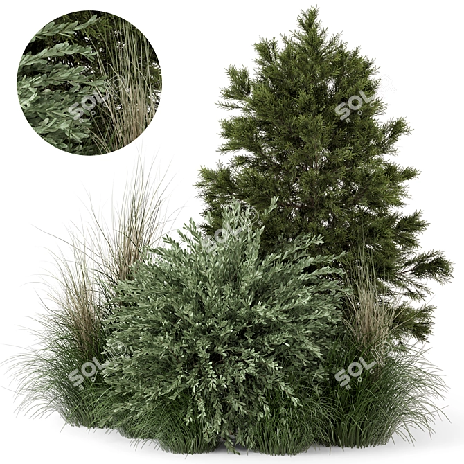 2015 Outdoor Plants Bush Set 3D model image 1