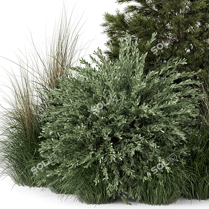 2015 Outdoor Plants Bush Set 3D model image 2
