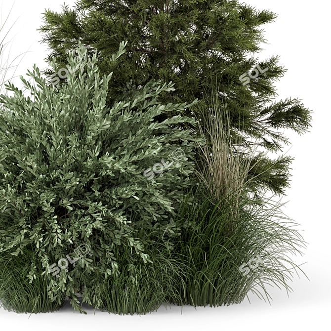 2015 Outdoor Plants Bush Set 3D model image 4