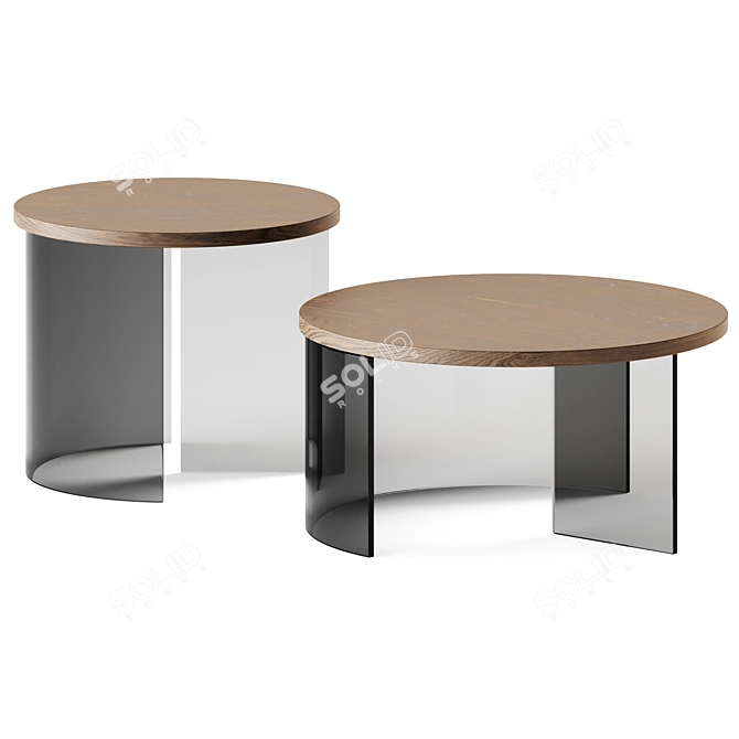 Elegant Regolo Round Coffee Table 3D model image 1