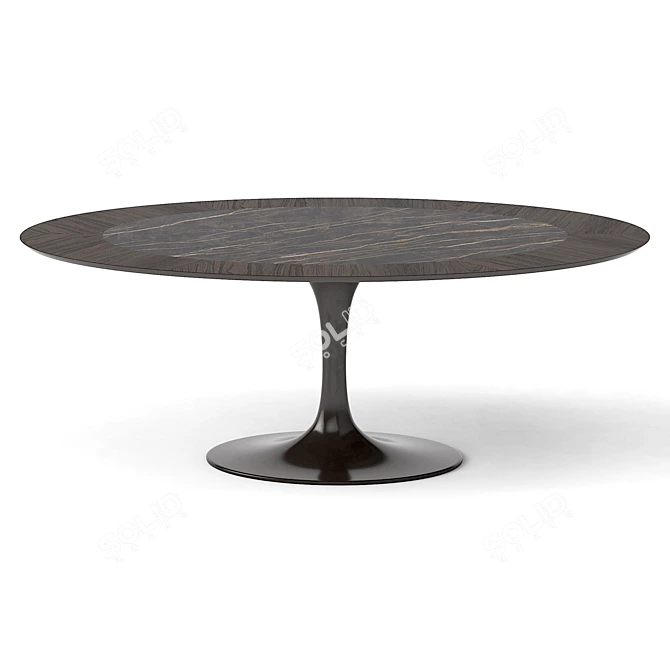 Elegant Oval Table Set 3D model image 2