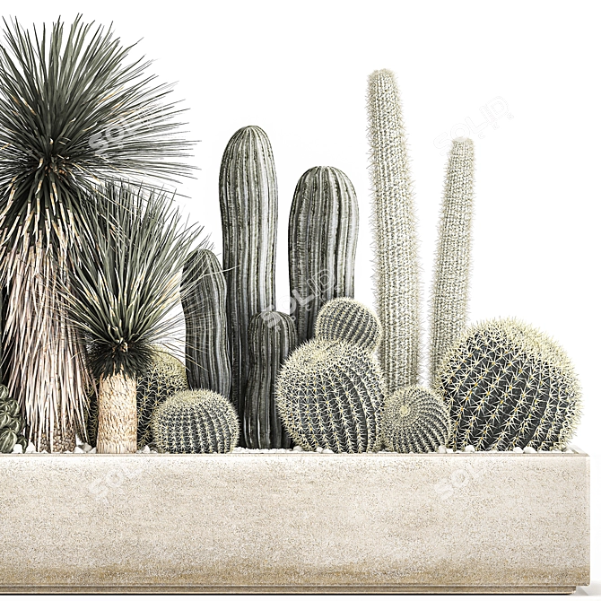 Tropical Plant Collection: Exotic & Decorative Greenery in Concrete Pots 3D model image 6