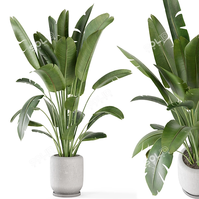 Rustic Indoor Plant Set - Concrete Pot 3D model image 1