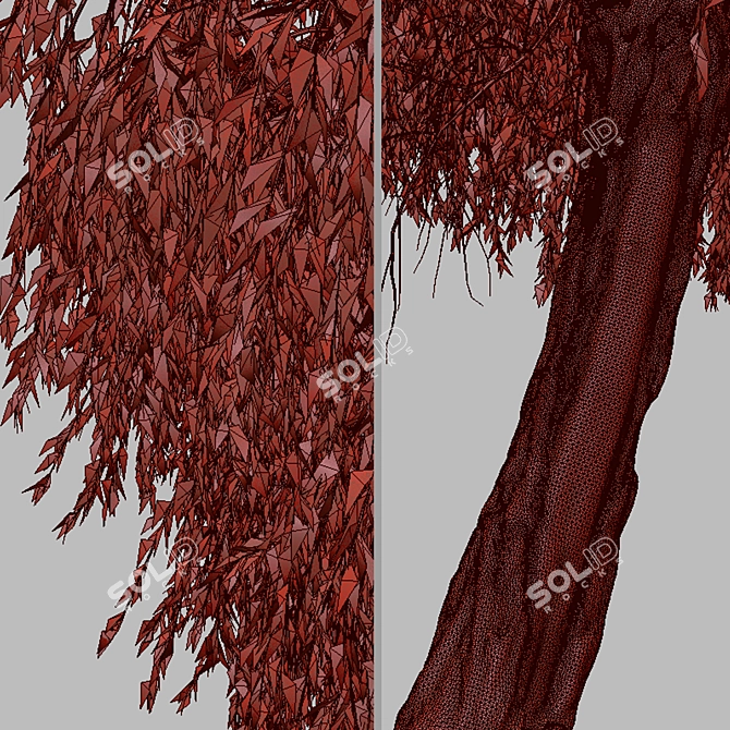 Peppermint Willow Tree Set (2 Trees) 3D model image 7