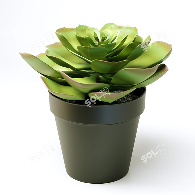 FEJKA FAKE Succulent Plant 3D model image 3