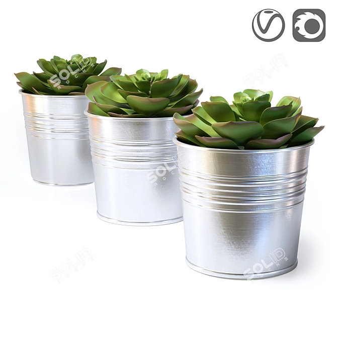 FEJKA FAKE Succulent Plant 3D model image 4