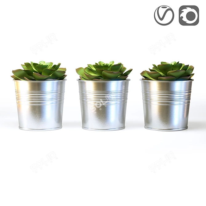 FEJKA FAKE Succulent Plant 3D model image 5