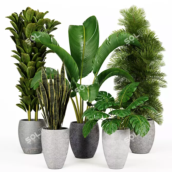 Indoor Green Oasis: High-Quality Plant Collection 3D model image 1