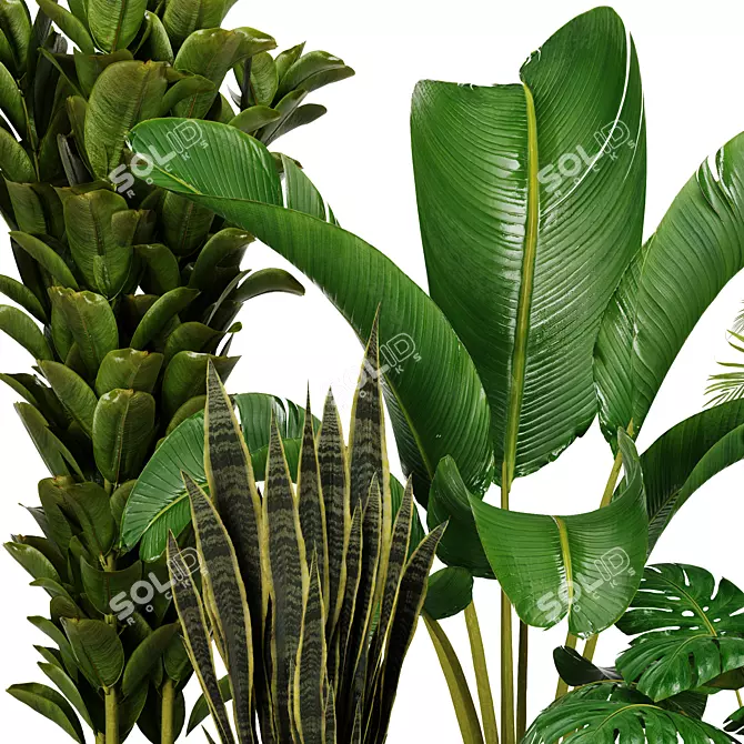 Indoor Green Oasis: High-Quality Plant Collection 3D model image 3