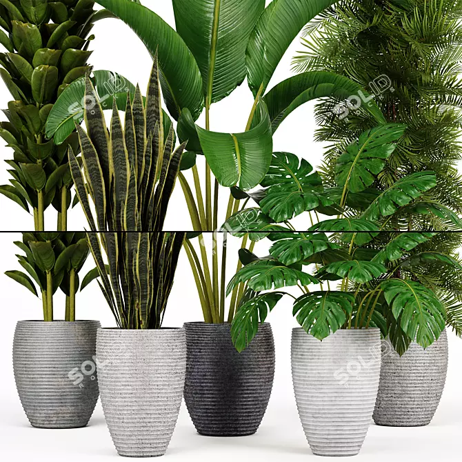 Indoor Green Oasis: High-Quality Plant Collection 3D model image 4