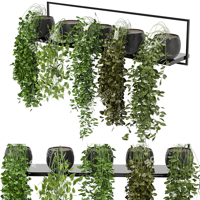 Modern Concrete Pot Indoor Plants 3D model image 3