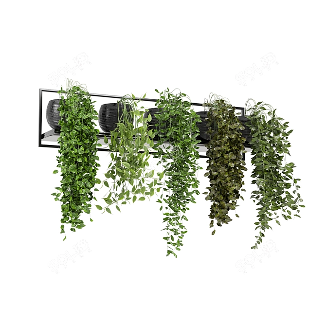 Modern Concrete Pot Indoor Plants 3D model image 4