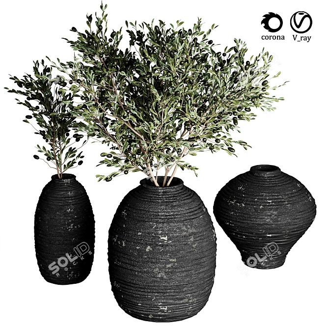 Indoor Plant Collection 26 3D model image 1