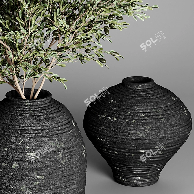 Indoor Plant Collection 26 3D model image 4