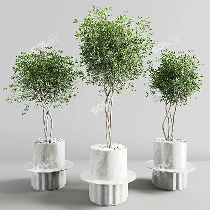 Premium Plant Collection 3D model image 3