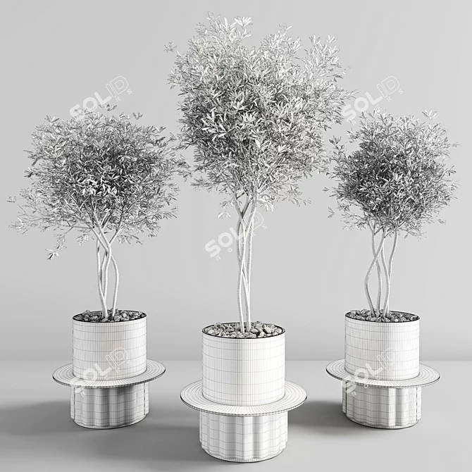 Premium Plant Collection 3D model image 4