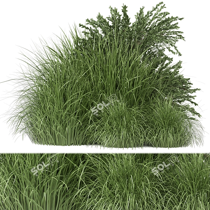 Outdoor Bush Plants Set 197 | 3dsMax + Vray/Corona 3D model image 1