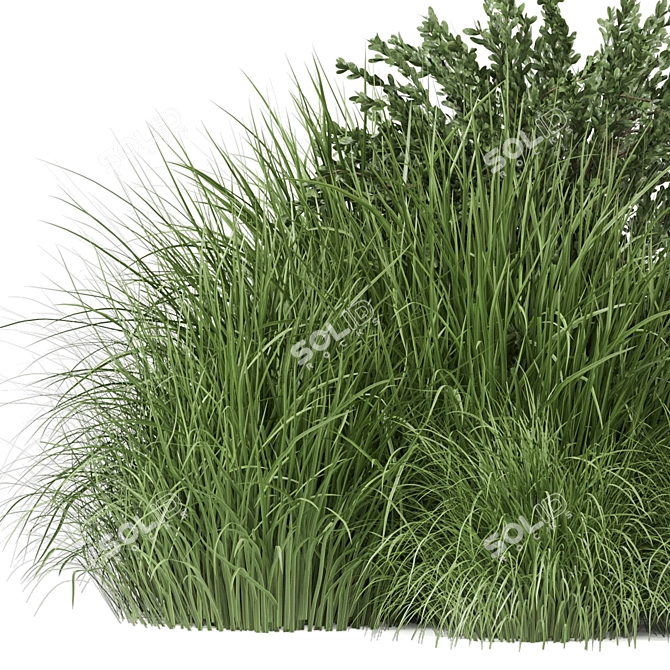 Outdoor Bush Plants Set 197 | 3dsMax + Vray/Corona 3D model image 2