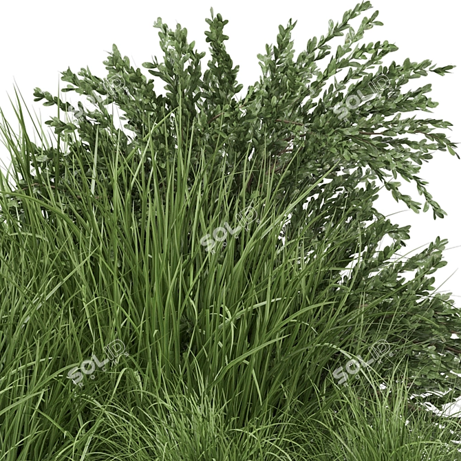 Outdoor Bush Plants Set 197 | 3dsMax + Vray/Corona 3D model image 3