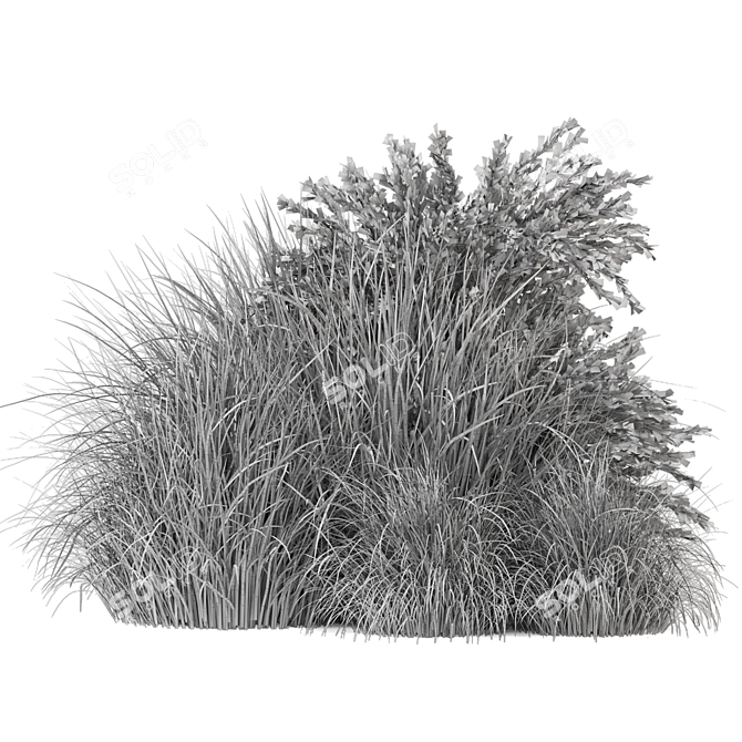 Outdoor Bush Plants Set 197 | 3dsMax + Vray/Corona 3D model image 5