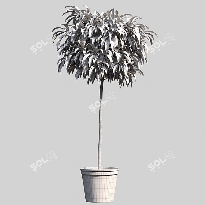 Stylish Indoor Foliage Bushes 3D model image 3