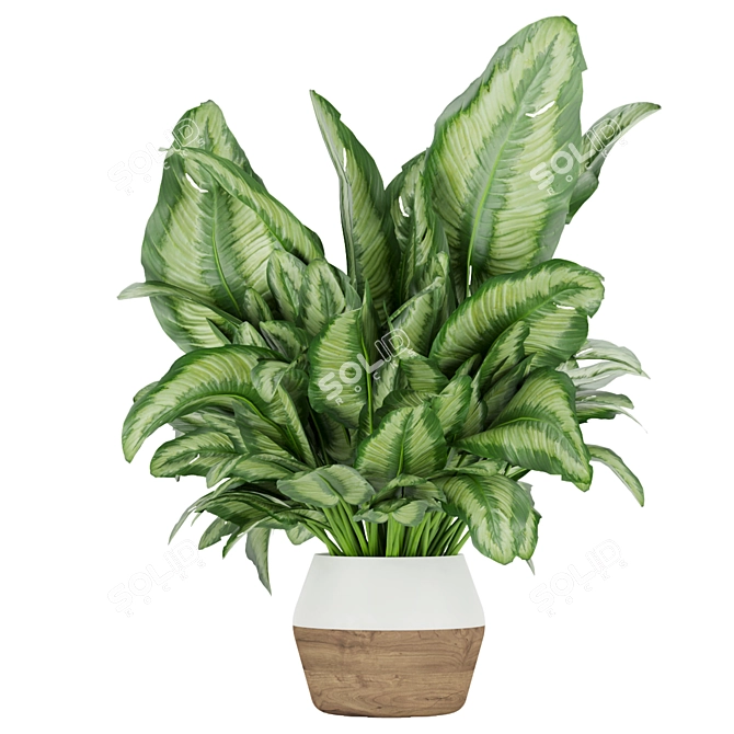 Premium Aglaonema Indoor Plant: Collection Vol. 298 3D model image 4