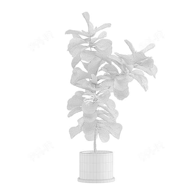 Exotic Indoor Plants Collection 3D model image 7