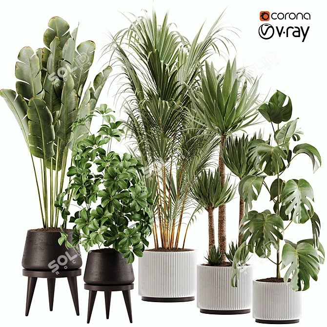 Green Oasis Indoor Plant Set 3D model image 1