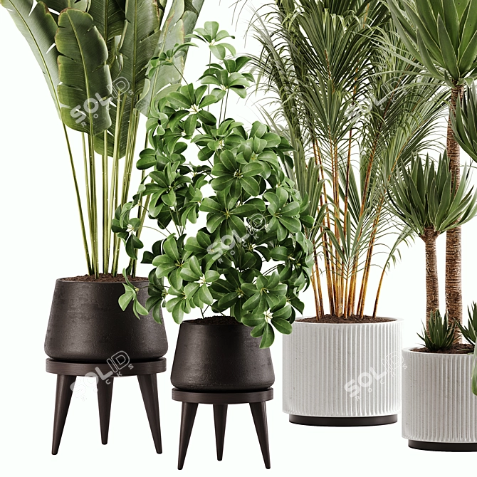 Green Oasis Indoor Plant Set 3D model image 2