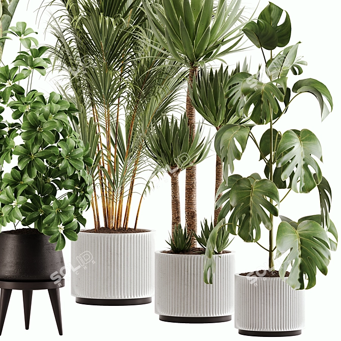 Green Oasis Indoor Plant Set 3D model image 3