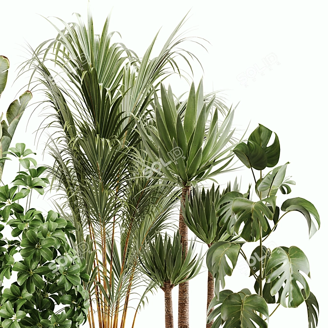 Green Oasis Indoor Plant Set 3D model image 4