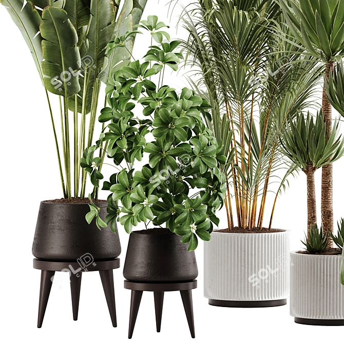 Green Oasis Indoor Plant Set 3D model image 8