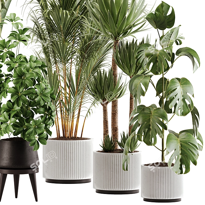 Green Oasis Indoor Plant Set 3D model image 9