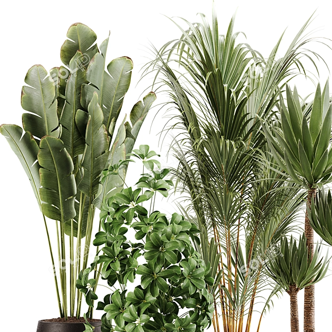 Green Oasis Indoor Plant Set 3D model image 11