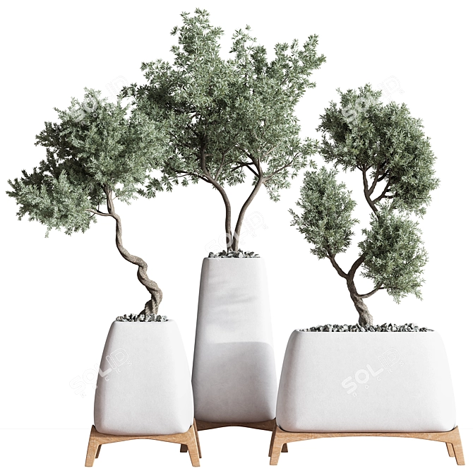 Green Haven Indoor Plant Set 3D model image 1