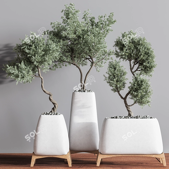 Green Haven Indoor Plant Set 3D model image 2