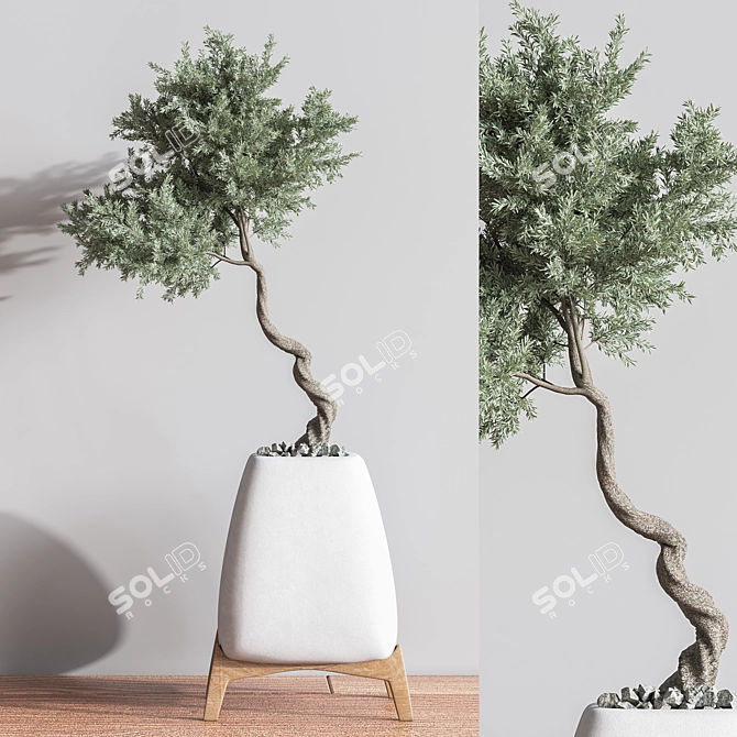 Green Haven Indoor Plant Set 3D model image 5