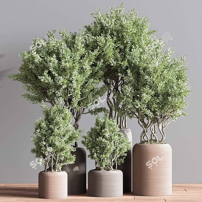 Lush Indoor Plant Set 74 3D model image 2