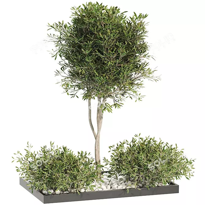 Premium Plant Collection 3D model image 1