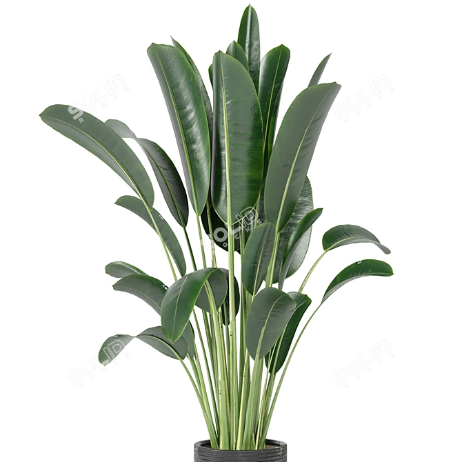 Indoor Plants Collection - Set 198: 3D Model Bundle 3D model image 4