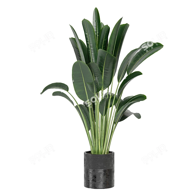 Indoor Plants Collection - Set 198: 3D Model Bundle 3D model image 6