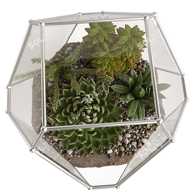 Succulent Paradise: Florarium with Stunning Live Greens 3D model image 3