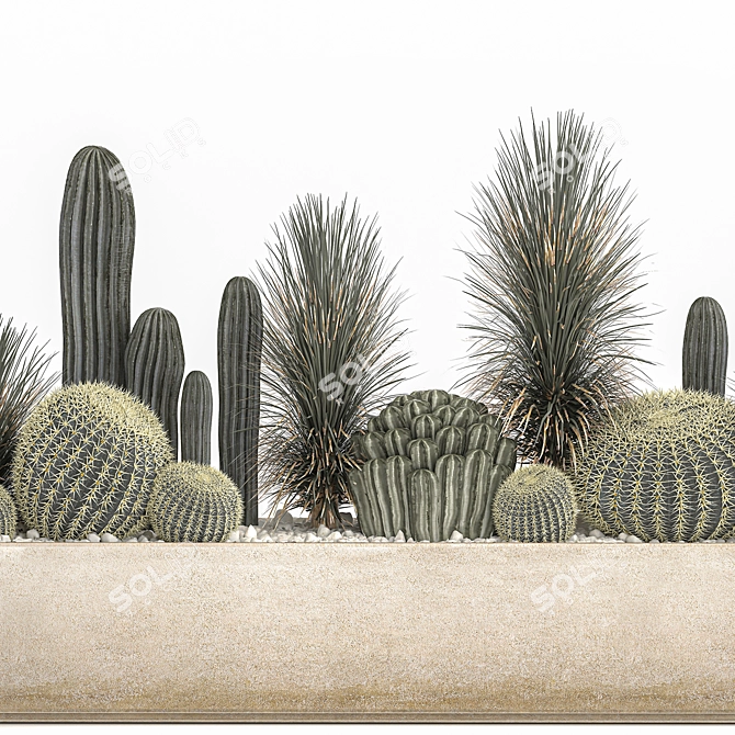 Tropical Plant Collection Exotic Decor 3D model image 3